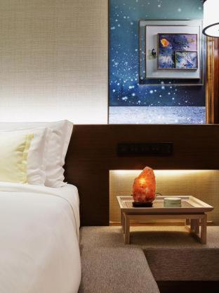 The Anandi Hotel and SPA - Luxury Healing Hotel for Wellbeing, Shanghái (foto 6)