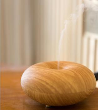 The Anandi Hotel and SPA - Luxury Healing Hotel for Wellbeing, Shanghái (foto 8)