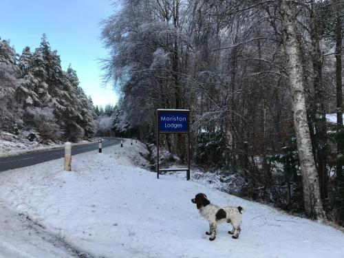 Levishie Lodge, , Highlands