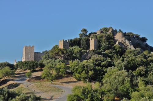 Hôtel Le Méditerranée - image 5