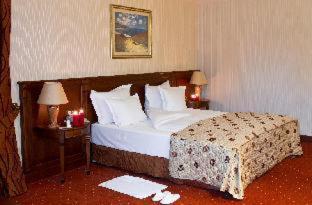 Crystal Palace Boutique Hotel, Sofia (Foto 9)