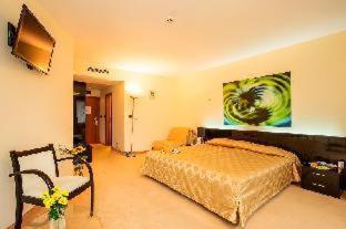 Europe Hotel, Sofia (photo 11)
