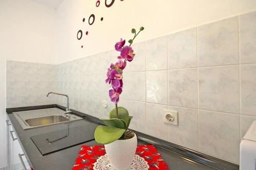 Apartments Petra - image 5