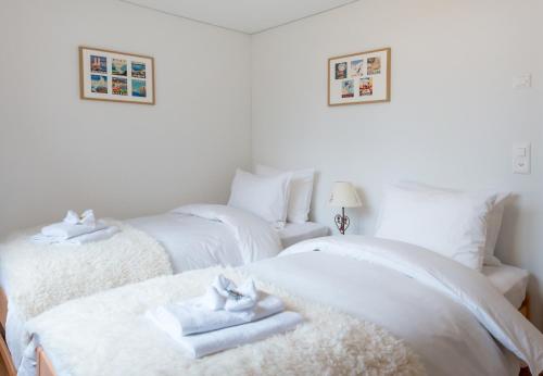Panoramapark Soleil Chalet C, Goms