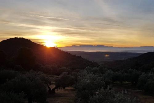 Viña Las Olivas (Vina Las Olivas) in Andújar