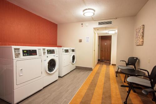 Holiday Inn Downtown Rochester an IHG Hotel - image 9