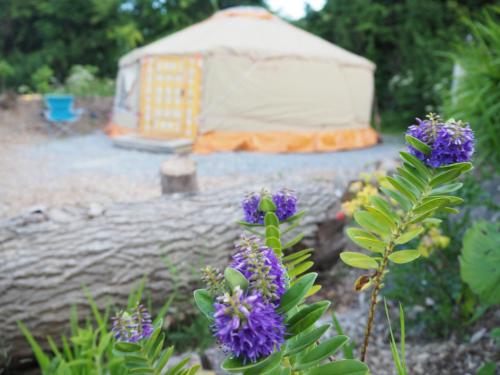 Inch Hideaway Eco Camping