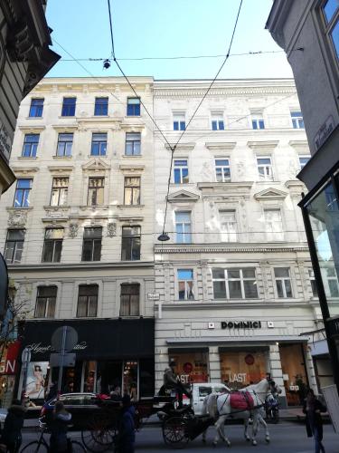 Comfort Apartments - Stephansdom 5