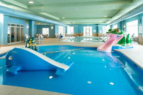 Holiday Inn Express Hotel & Suites Wausau By IHG - 수영장