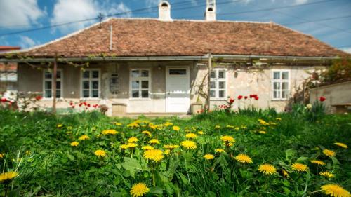 Gästehaus Fogarasch - Accommodation - Făgăraş