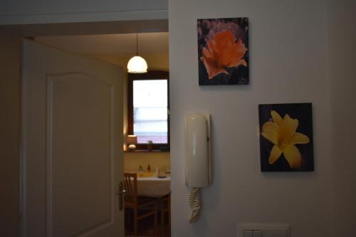 Apartment Honey - image 6