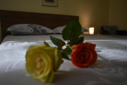 Apartment Honey - image 12