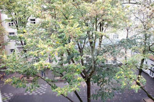 Foto - Altstadthotel Hayk am Rhein