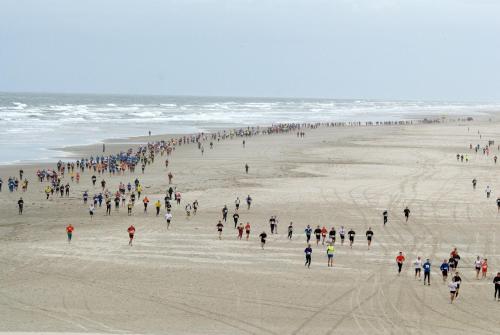 Résidence Terschelling