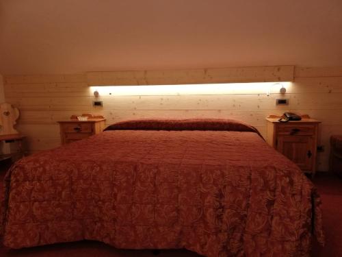 Hotel Des Alpes 4