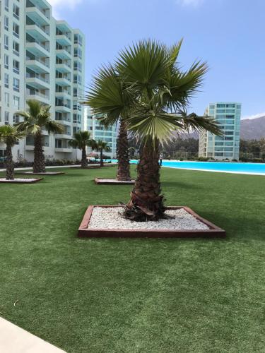 花園, Vista al mar Papudo Crystal Lagoon in 薩帕亞爾