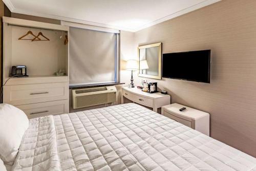 共用Lounge/電視區