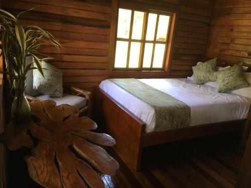 Great Hostels Amazon in Puyo