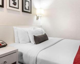 The Moore, New York City, a Member of Design Hotels, New York (foto 10)