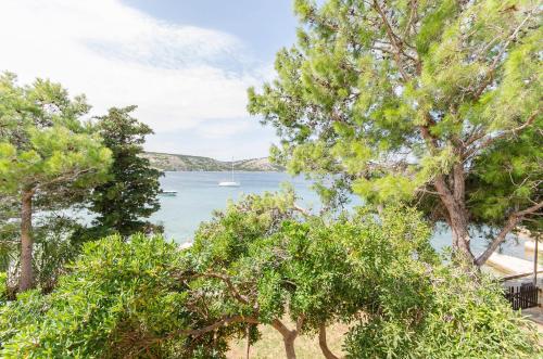  Apartments A-Z in Stara Novalja