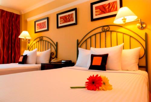 Kapok Hotel Stop at Kapok Hotel to discover the wonders of Saint Clair. Both business travelers and tourists can enjoy the hotels facilities and services. 24-hour front desk, room service, meeting facilities, bu