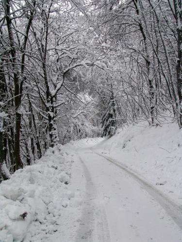 Rifugio Escursionistico La Ruà