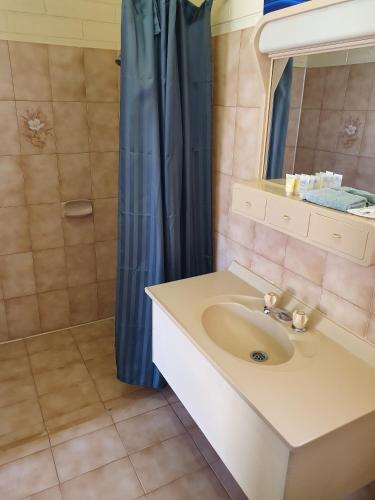 Opal Inn Hotel Motel Caravan Park