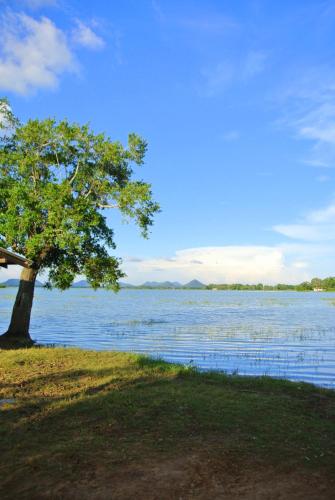 Flower Garden Lake Resort