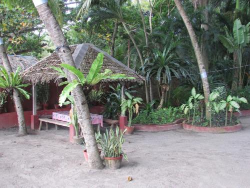 Felipa Beach and Guesthouse - Newly Renovated Airconditioned Guest Rooms