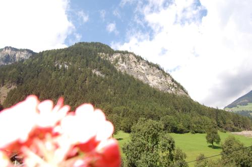 Hof Neuhaus - image 3