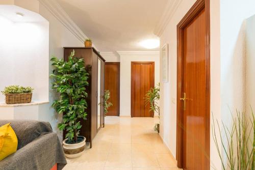 Apartamento Soho Málaga, Málaga (fotografie 6)