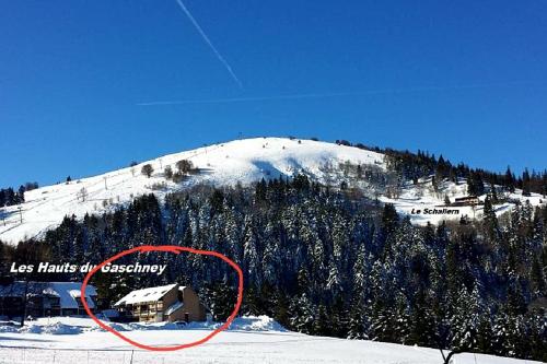 Le Montagnard au Pied des pistes, Station du Gaschney, Altitude 1000 m