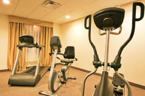 Holiday Inn Express Hotel & Suites Brooksville-I-75, an IHG Hotel