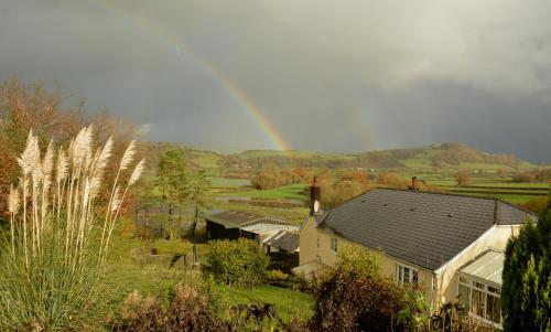 Bryn Hebog - image 11