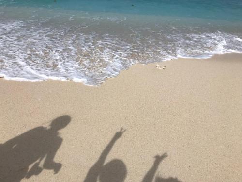 旅宿もすらのたまご