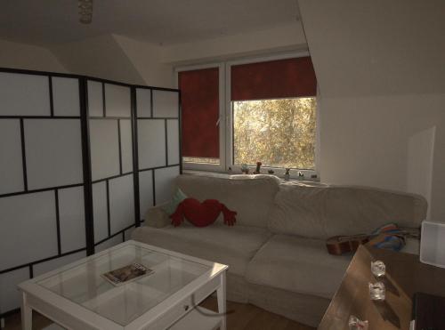 Bright apartment in the greenest area of Kraków