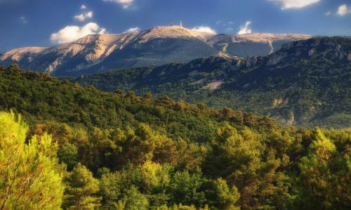 Le Nesk Ventoux - Hotel