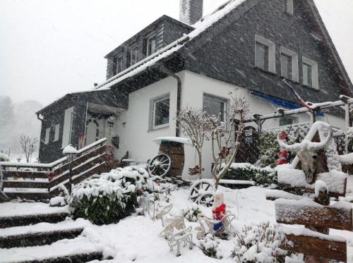 FRANKES LODGE Apartment mit Garten und Pool - image 5