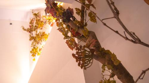 Sweet Sevilla Suites - main image