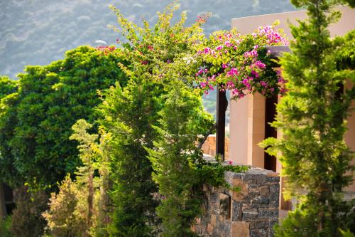 Daios Cove Luxury Resort & Villas - image 10