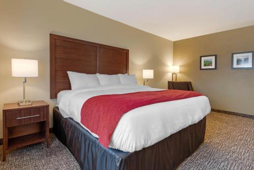 1 king bed