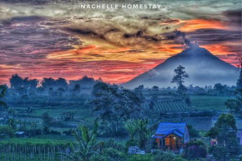 Berastagi Nachelle Homestay - Tap to explore photos
