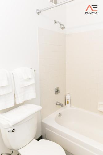ENVITAE 3BR Spacious Lux Skyview Of Navy Pier