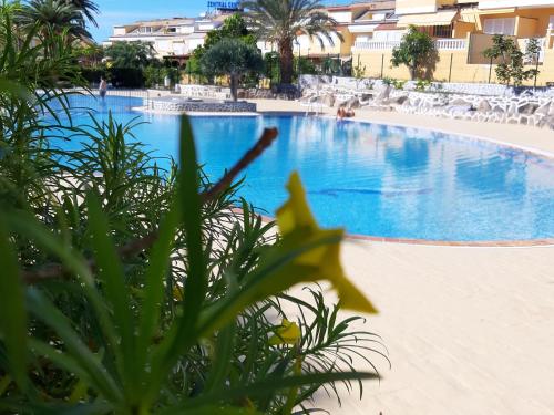  PLAYA DE LAS AMERICAS EL CAMISON in 38649 Arona