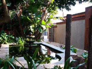 Singa Lodge - Lion Roars Hotels & Lodges, Port Elizabeth (fotografie 11)