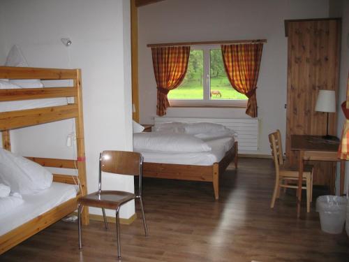 Reitstall und Saloon San Jon - image 6