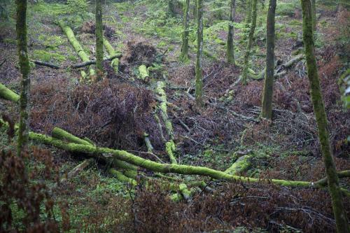 La Colline des Renards Chambres