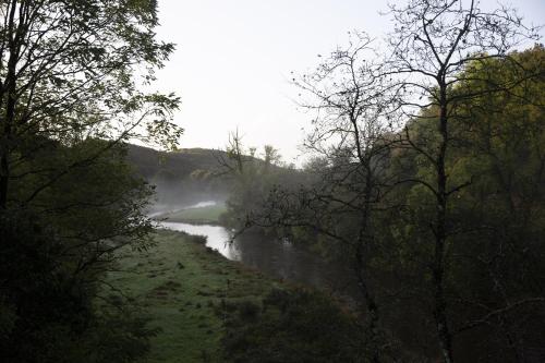 La Colline des Renards Chambres