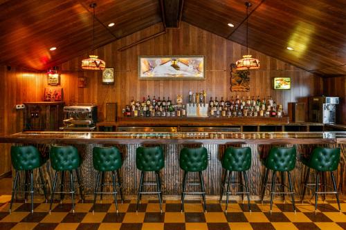 The Dive Motel and Swim Club in Nashville, USA