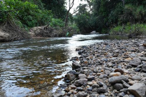 Nature INN Homestay - Mountain View & River Access